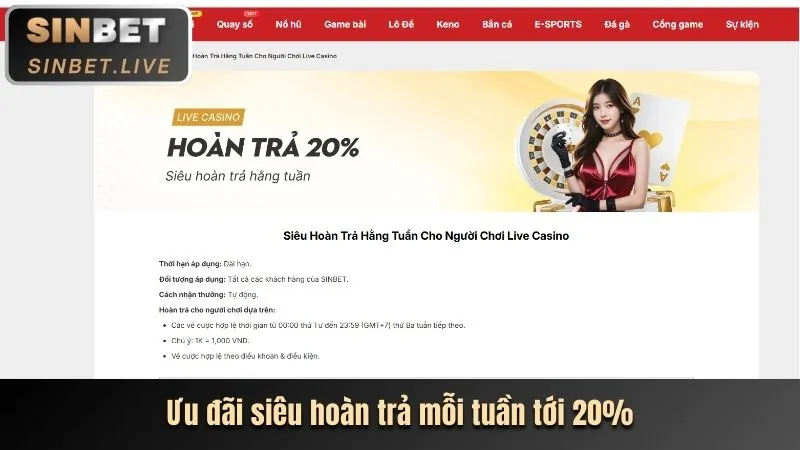 Casino trực tuyến sống động với các dealer chuyên nghiệp