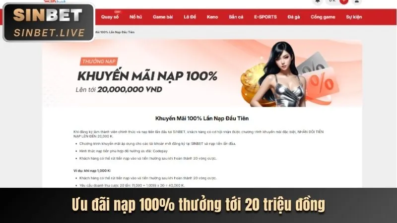 Cá cược thể thao đa dạng với các trận đấu trực tiếp